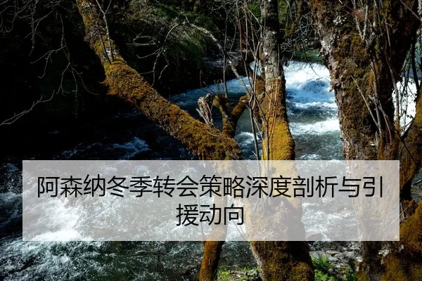 阿森纳冬季转会策略深度剖析与引援动向